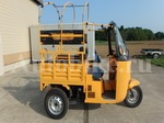      Bajaj Chetak 250 (TukTuk) 2008  6